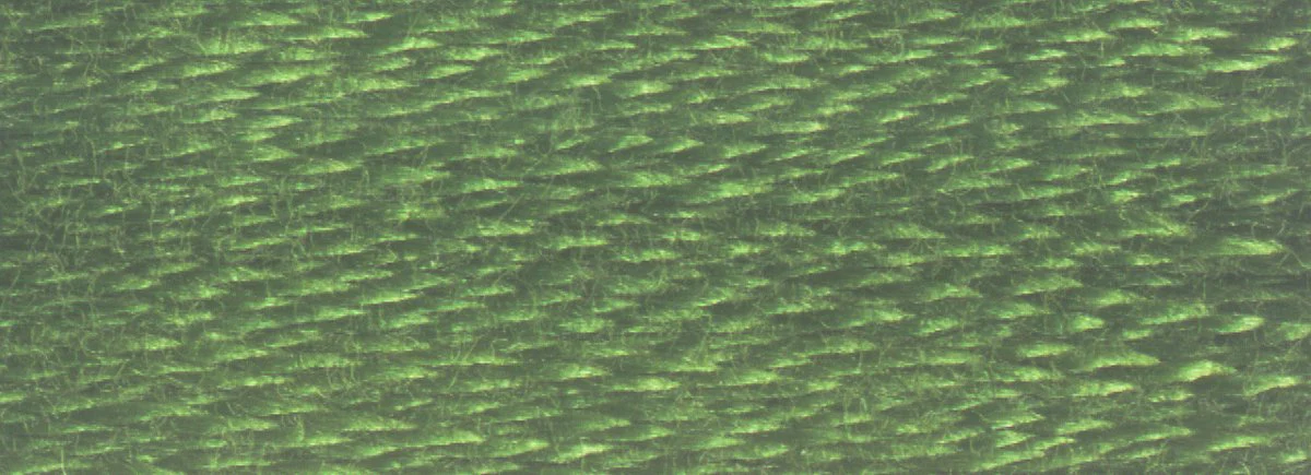 DMC 6-Strand Cotton Embroidery Floss 8.7yd - 3362 Dark Pine Green - Image 2