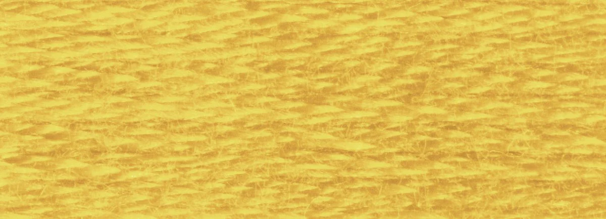 DMC 6-Strand Cotton Embroidery Floss 8.7yd - 3820 Dark Straw - Image 2