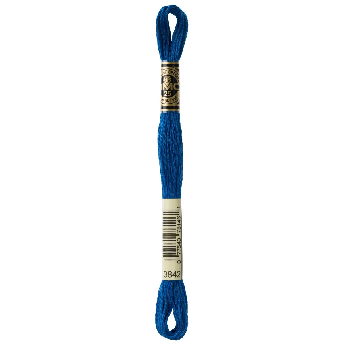 DMC 6-Strand Cotton Embroidery Floss 8.7yd - 3842 Dark Wedgewood
