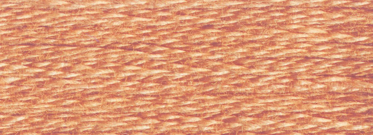 DMC 6-Strand Cotton Embroidery Floss 8.7yd - 3064 Desert Sand - Image 2
