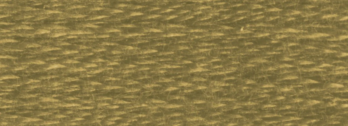 DMC 6-Strand Cotton Embroidery Floss 8.7yd - 611 Drab Brown - Image 2