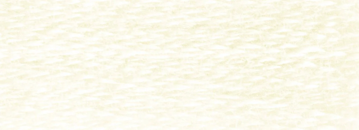 DMC 6-Strand Cotton Embroidery Floss 8.7yd - Ecru - Image 2