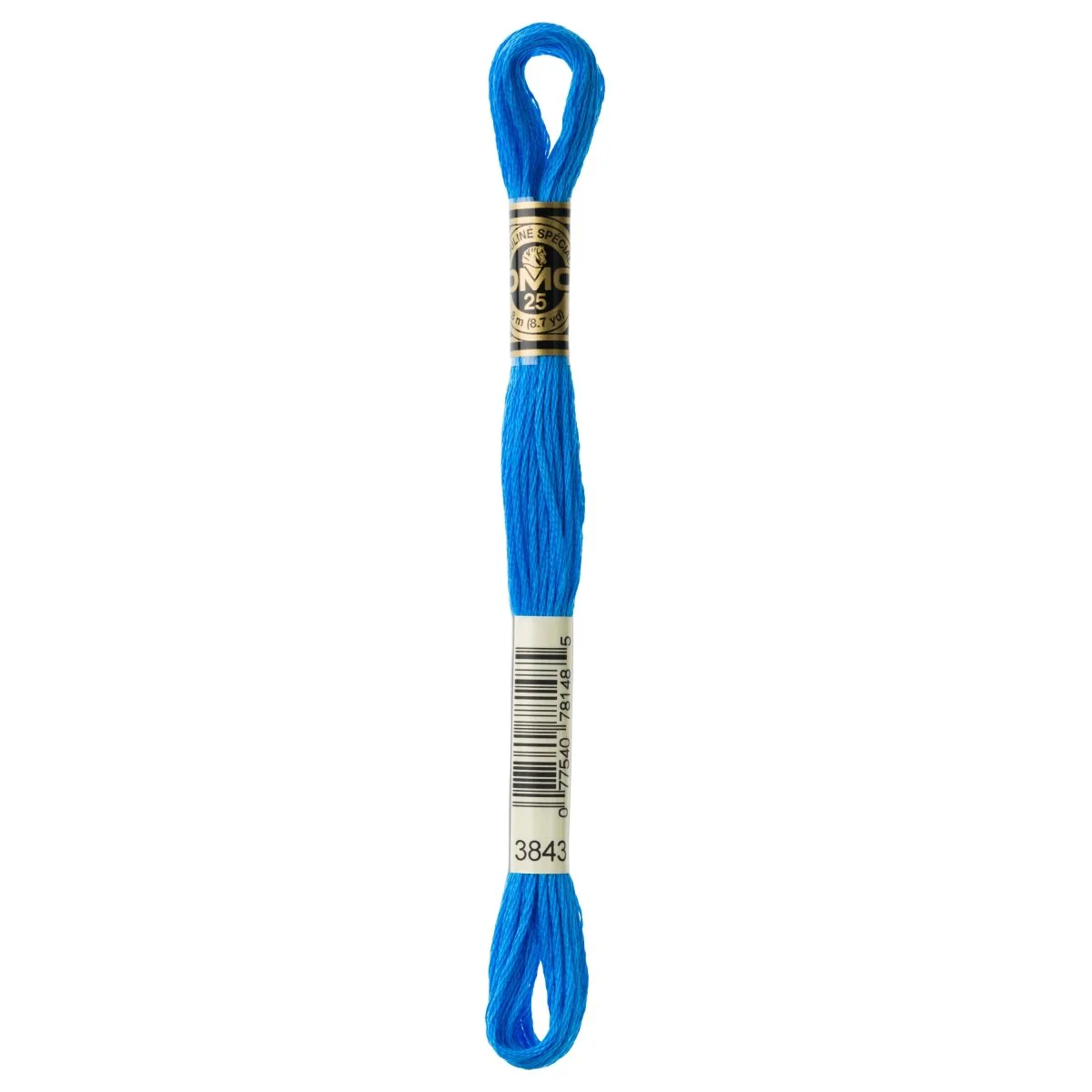 DMC 6-Strand Cotton Embroidery Floss 8.7yd - 3843 Electric Blue