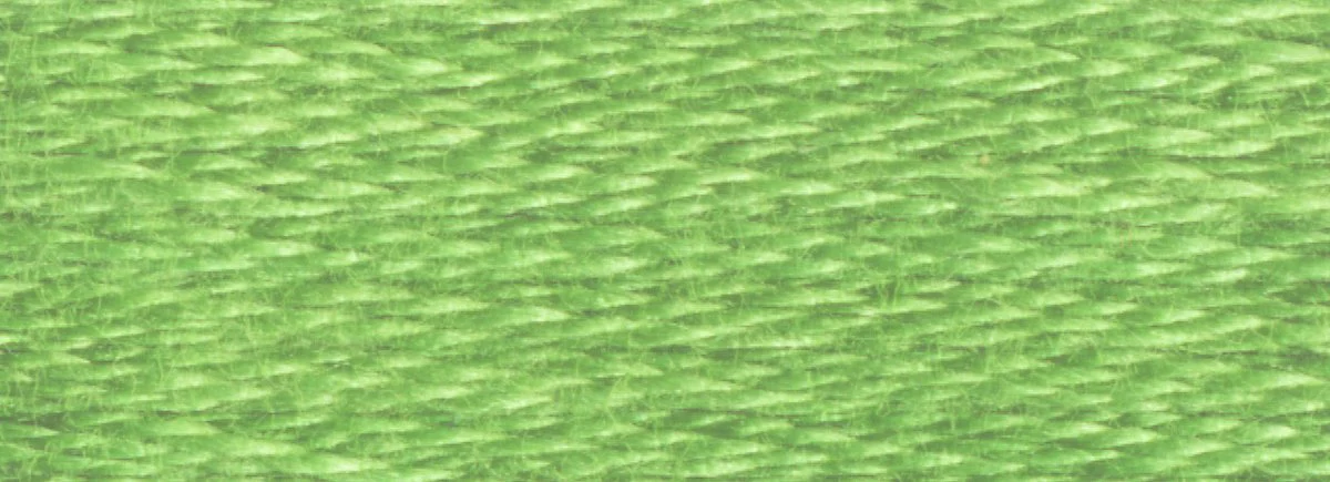 DMC 6-Strand Cotton Embroidery Floss 8.7yd - 989 Forest Green - Image 2