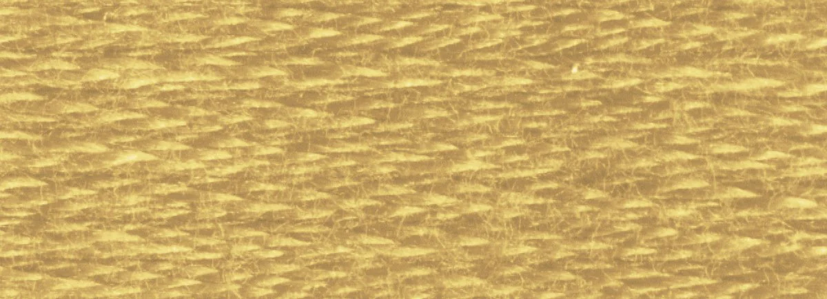 DMC 6-Strand Cotton Embroidery Floss 8.7yd - 3828 Hazelnut Brown - Image 2