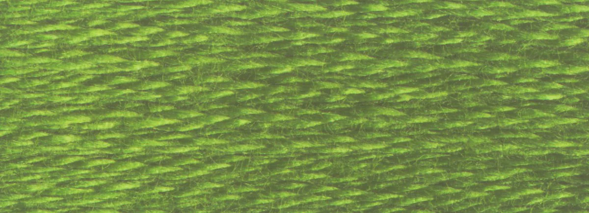 DMC 6-Strand Cotton Embroidery Floss 8.7yd - 3346 Hunter Green - Image 2