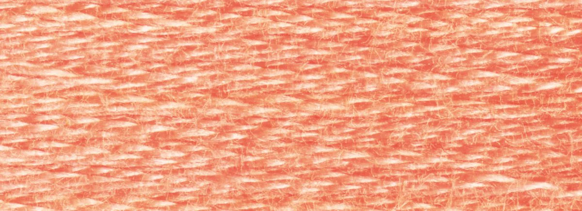 DMC 6-Strand Cotton Embroidery Floss 8.7yd - 3824 Light Apricot - Image 2