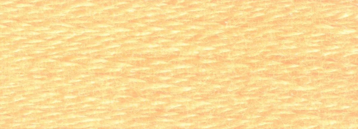 DMC 6-Strand Cotton Embroidery Floss 8.7yd - 3855 Light Autumn Gold - Image 2