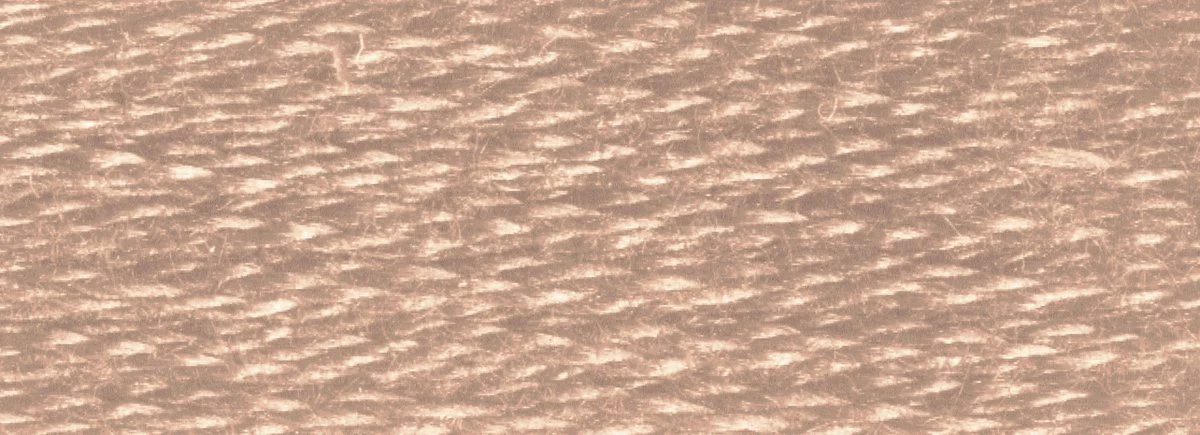 DMC 6-Strand Cotton Embroidery Floss 8.7yd - 841 Light Beige Brown - Image 2