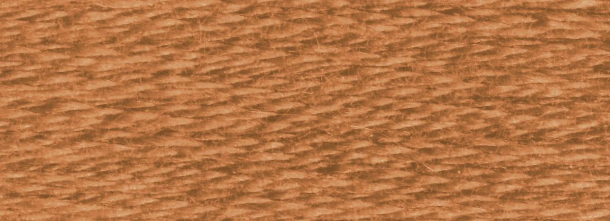 DMC 6-Strand Cotton Embroidery Floss 8.7yd - 434 Light Brown - Image 2