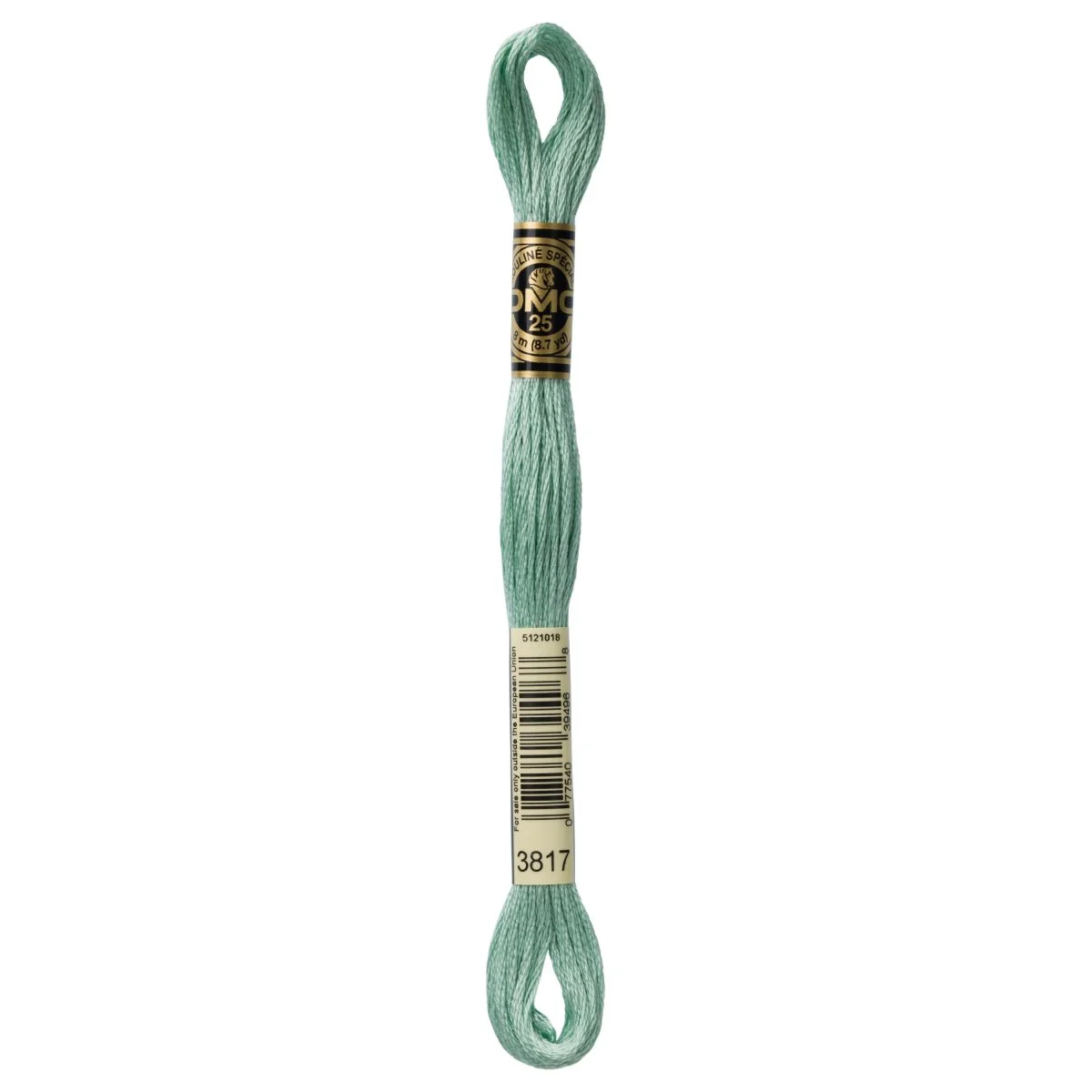 DMC 6-Strand Cotton Embroidery Floss 8.7yd - 3817 Light Celadon Green