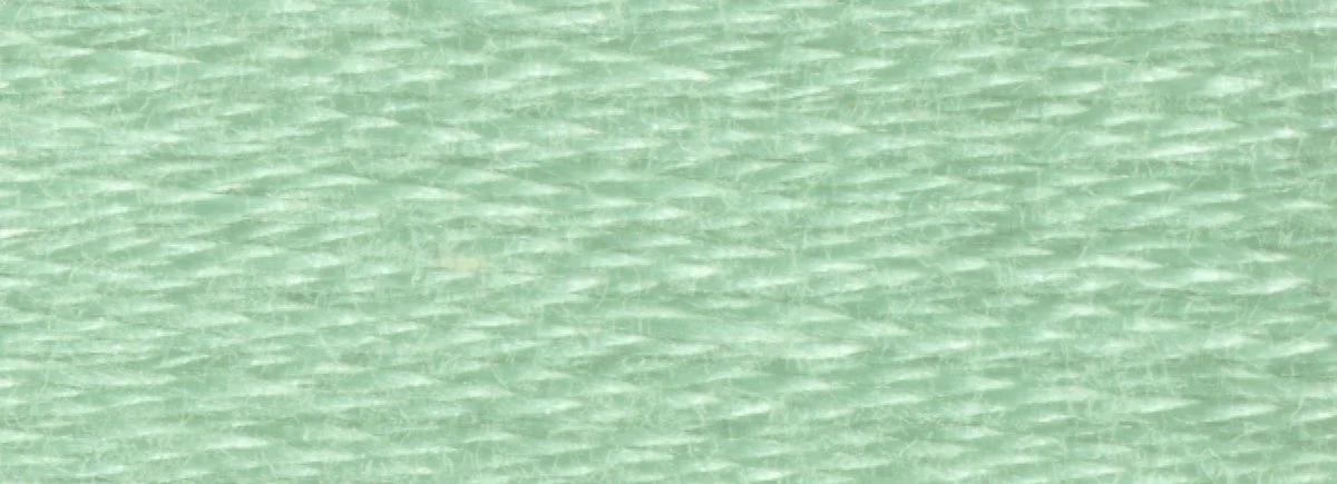DMC 6-Strand Cotton Embroidery Floss 8.7yd - 3817 Light Celadon Green - Image 2