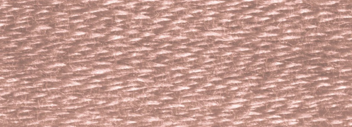 DMC 6-Strand Cotton Embroidery Floss 8.7yd - 3861 Light Cocoa - Image 2