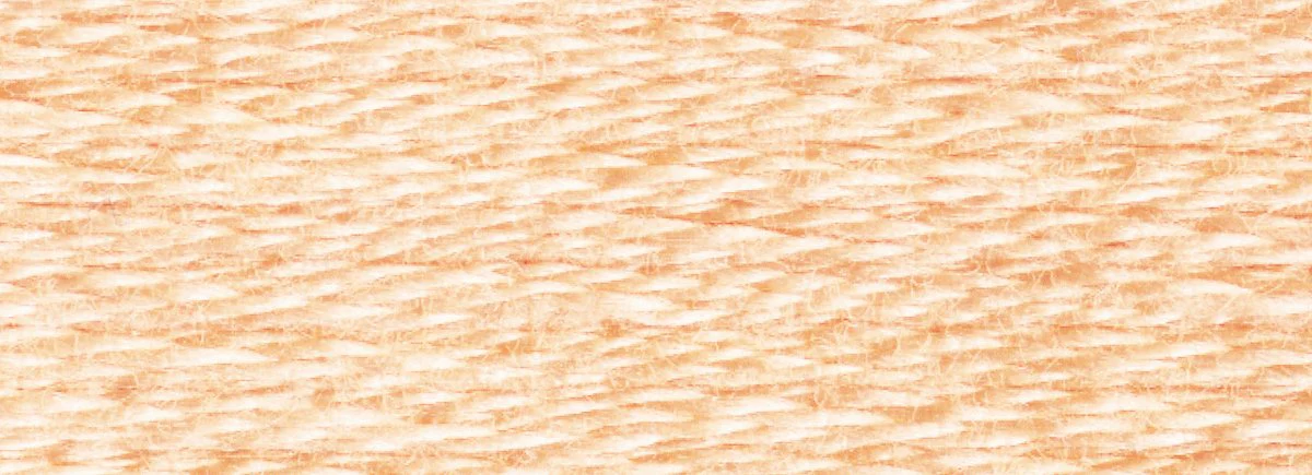 DMC 6-Strand Cotton Embroidery Floss 8.7yd - 950 Light Desert Sand - Image 2