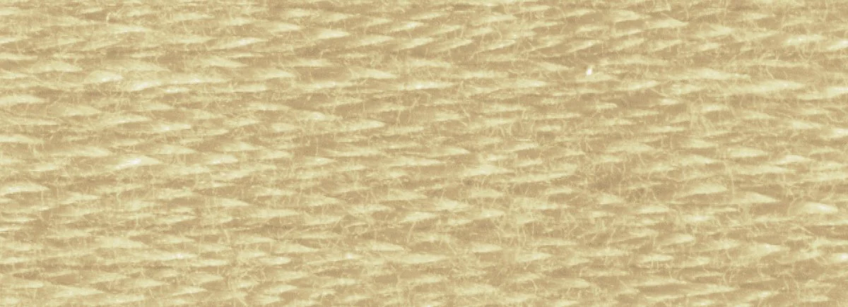 DMC 6-Strand Cotton Embroidery Floss 8.7yd - 612 Light Drab Brown - Image 2