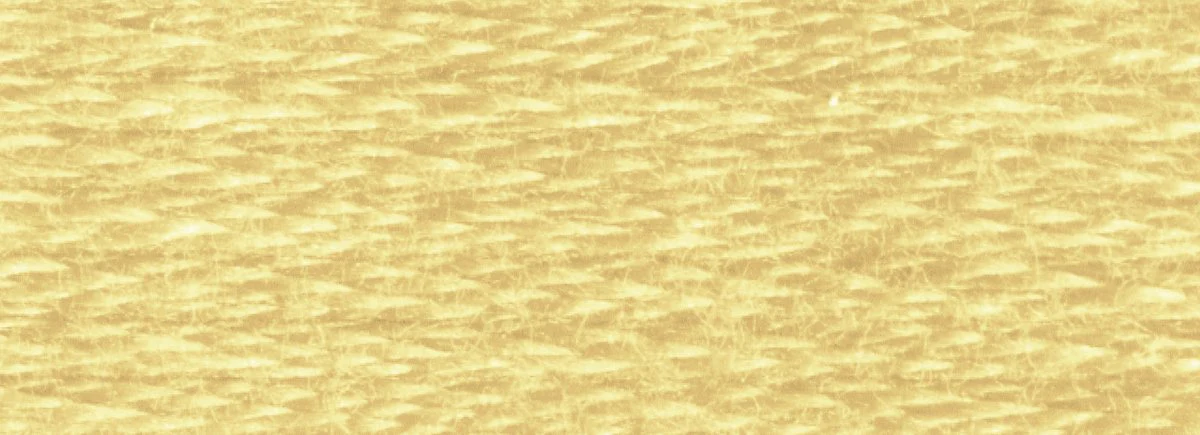 DMC 6-Strand Cotton Embroidery Floss 8.7yd - 422 Light Hazelnut Brown - Image 2