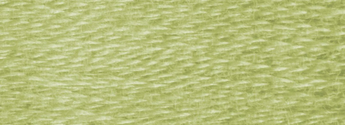 DMC 6-Strand Cotton Embroidery Floss 8.7yd - 3013 Light Khaki Green - Image 2