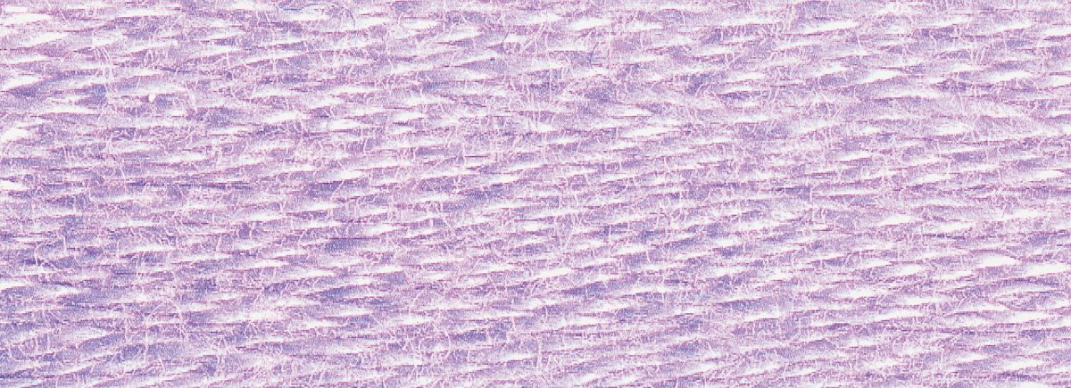 DMC 6-Strand Cotton Embroidery Floss 8.7yd - 211 Light Lavender - Image 2