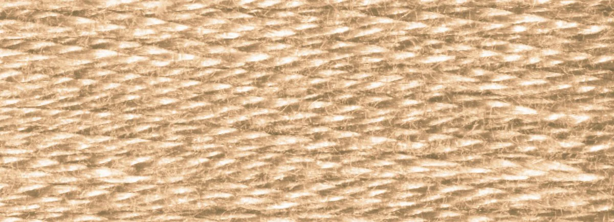 DMC 6-Strand Cotton Embroidery Floss 8.7yd - 3864 Light Mocha Beige - Image 2
