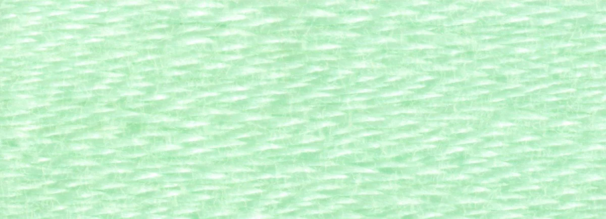 DMC 6-Strand Cotton Embroidery Floss 8.7yd - 955 Light Nile Green - Image 2