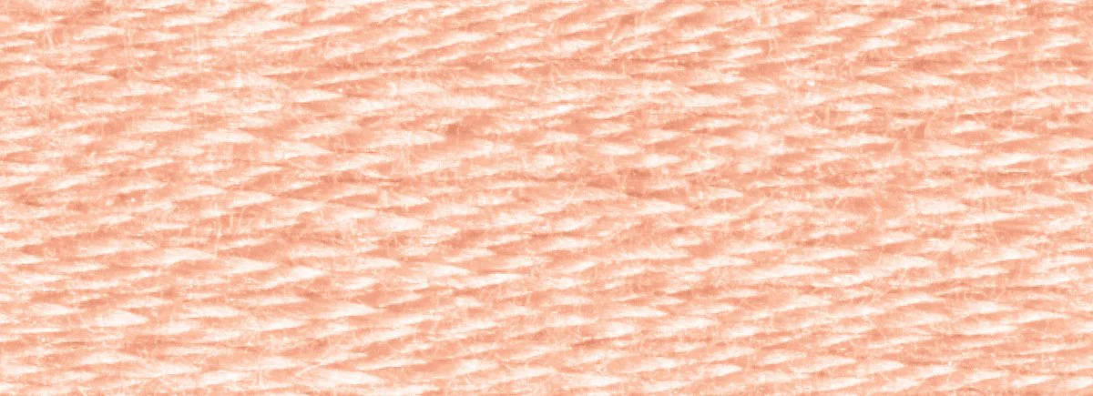 DMC 6-Strand Cotton Embroidery Floss 8.7yd - 754 Light Peach - Image 2