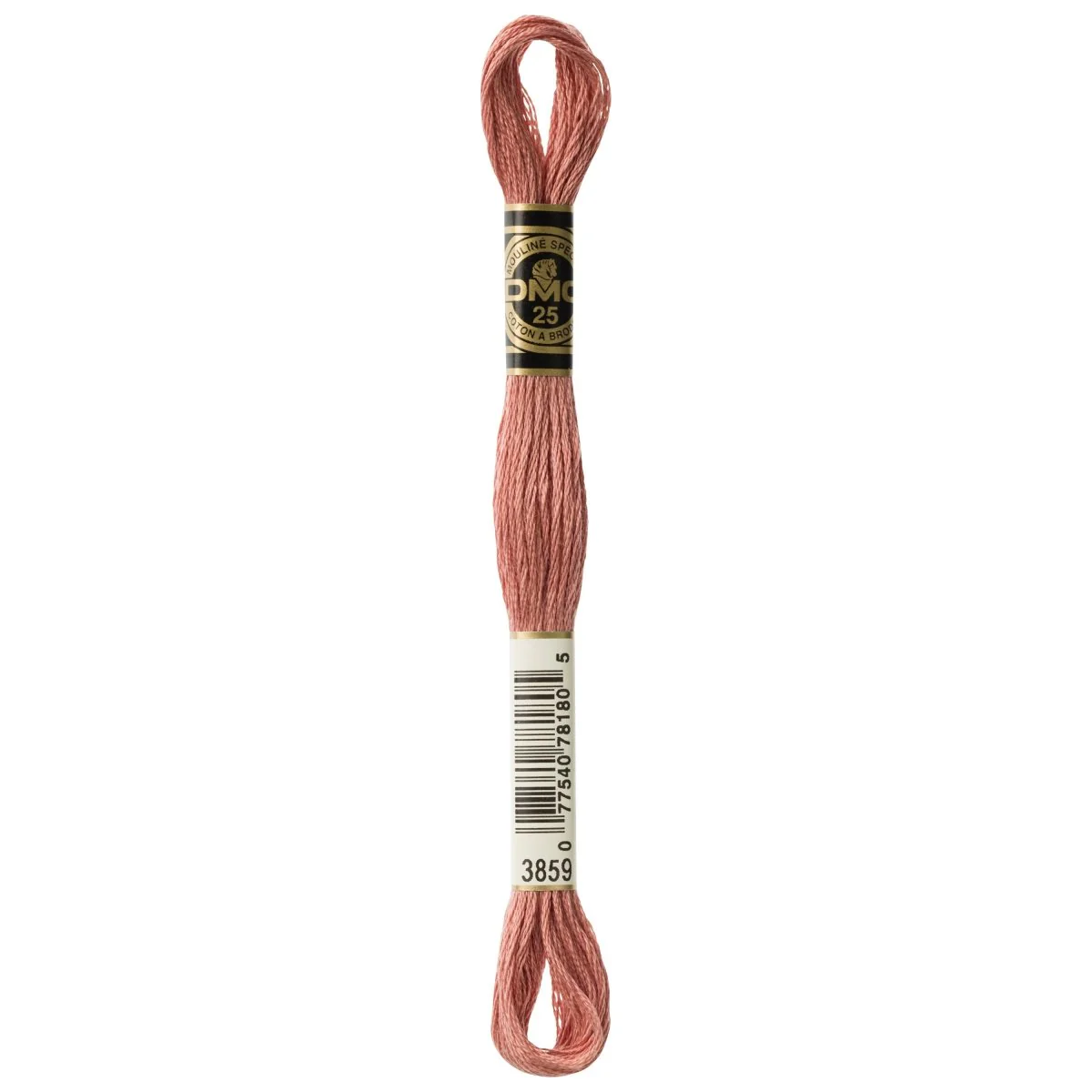 DMC 6-Strand Cotton Embroidery Floss 8.7yd - 3859 Light Rosewood