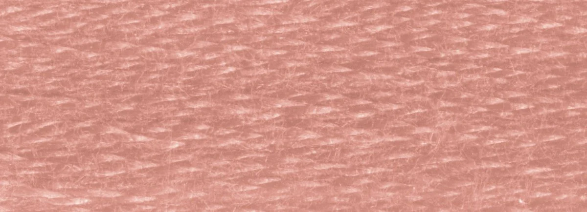 DMC 6-Strand Cotton Embroidery Floss 8.7yd - 3859 Light Rosewood - Image 2