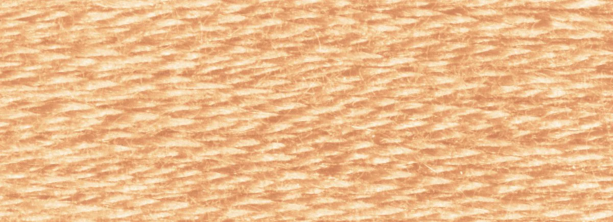 DMC 6-Strand Cotton Embroidery Floss 8.7yd - 437 Light Tan - Image 2