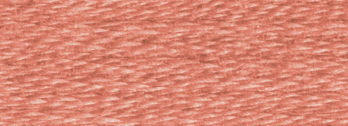 DMC 6-Strand Cotton Embroidery Floss 8.7yd - 3778 Light Terra Cotta - Image 2