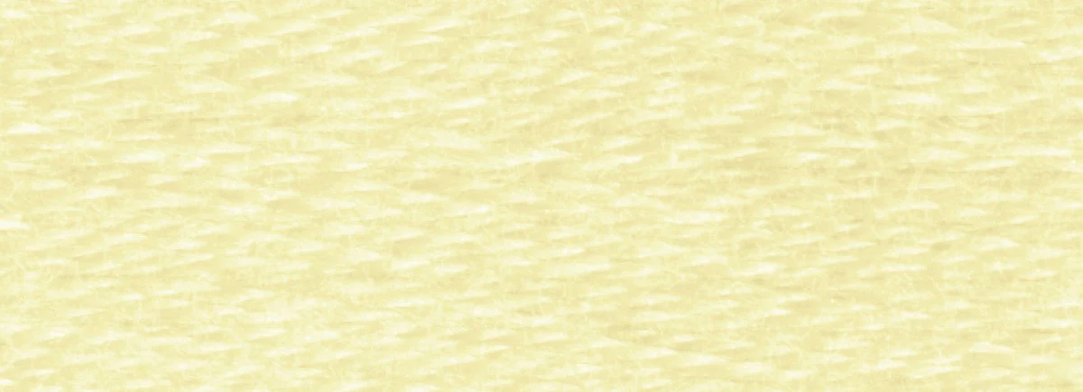 DMC 6-Strand Cotton Embroidery Floss 8.7yd - 3047 Light Yellow Beige - Image 2
