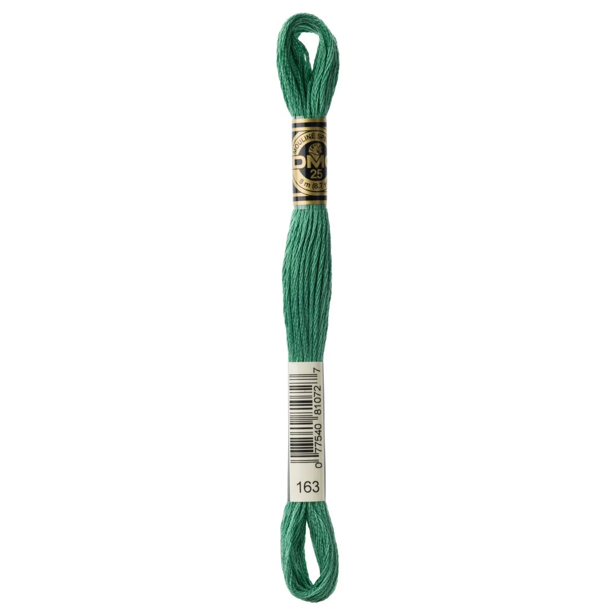 DMC 6-Strand Cotton Embroidery Floss 8.7yd - 163 Med. Celadon Green-Between 381