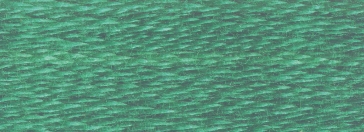 DMC 6-Strand Cotton Embroidery Floss 8.7yd - 163 Med. Celadon Green-Between 381 - Image 2