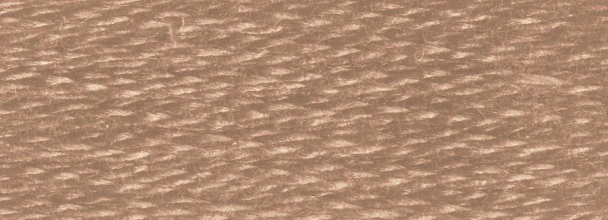 DMC 6-Strand Cotton Embroidery Floss 8.7yd - 840 Medium Beige Brown - Image 2