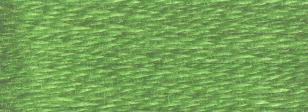 DMC 6-Strand Cotton Embroidery Floss 8.7yd - 988 Medium Forest Green - Image 2