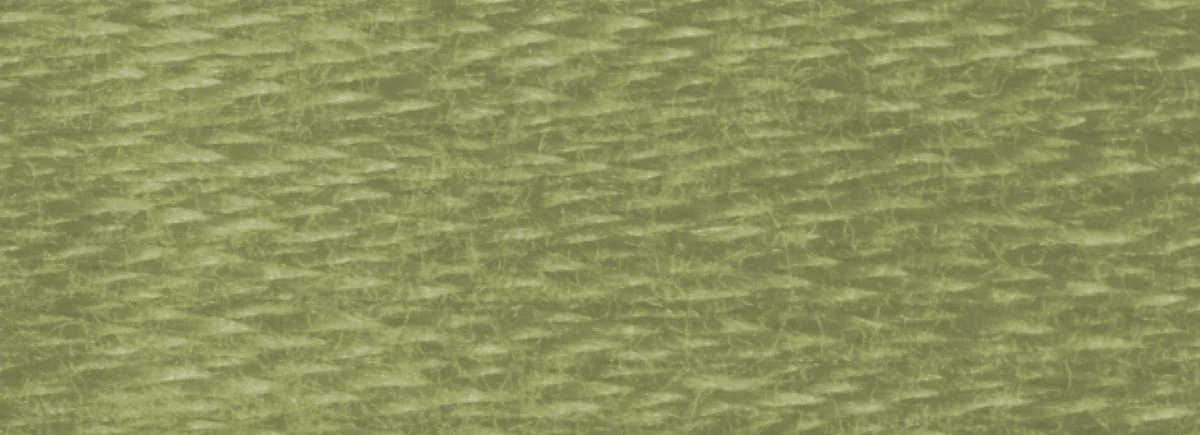 DMC 6-Strand Cotton Embroidery Floss 8.7yd - 3012 Medium Khaki Green - Image 2