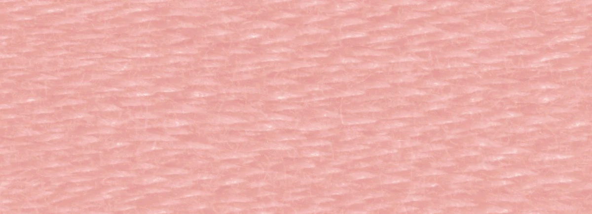 DMC 6-Strand Cotton Embroidery Floss 8.7yd - 152 Medium Light Shell Pink - Image 2