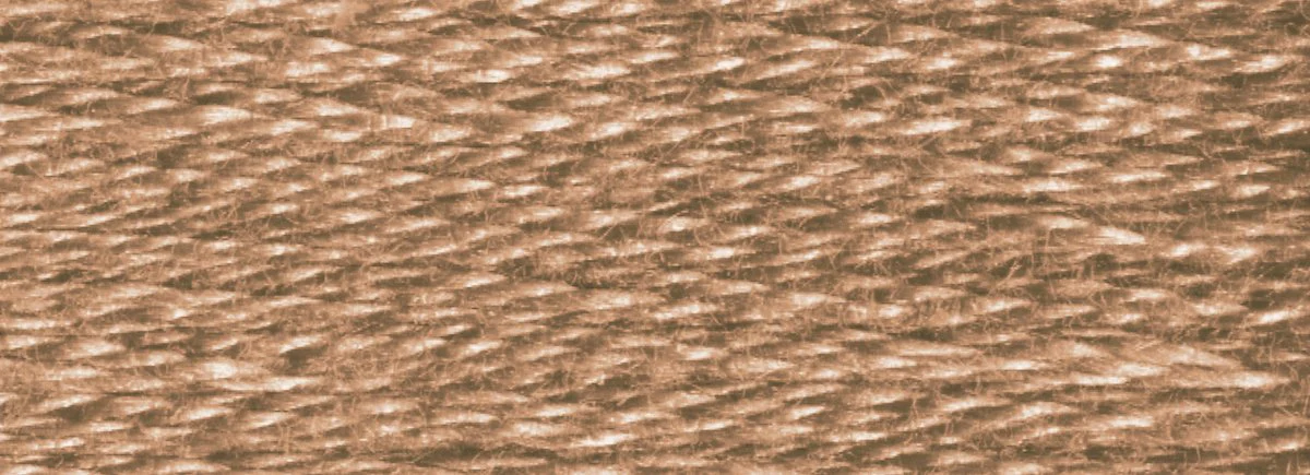 DMC 6-Strand Cotton Embroidery Floss 8.7yd - 3863 Medium Mocha Beige - Image 2