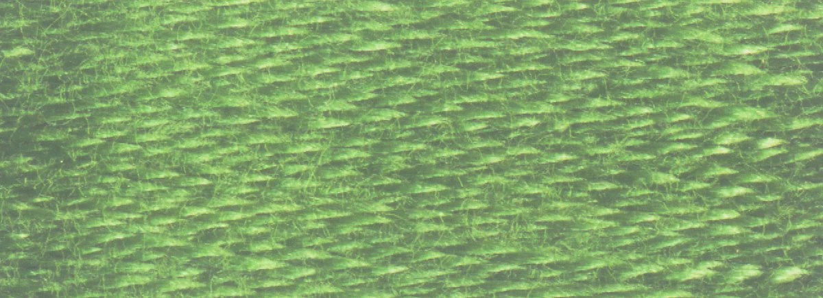 DMC 6-Strand Cotton Embroidery Floss 8.7yd - 3363 Medium Pine Green - Image 2