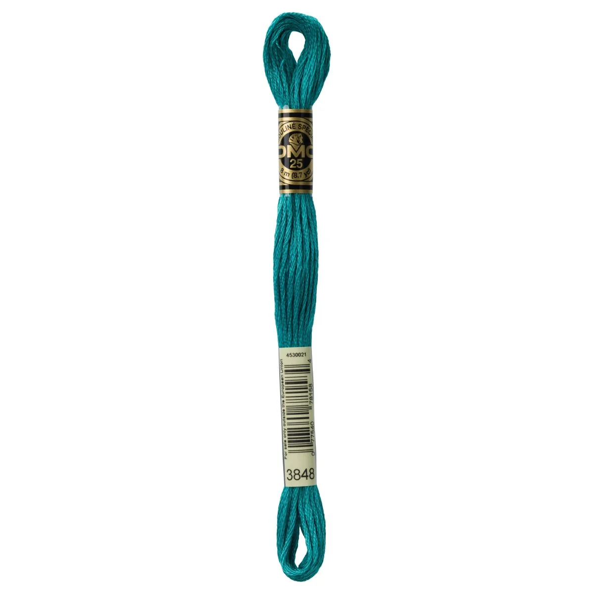 DMC 6-Strand Cotton Embroidery Floss 8.7yd - 3848 Medium Teal Green