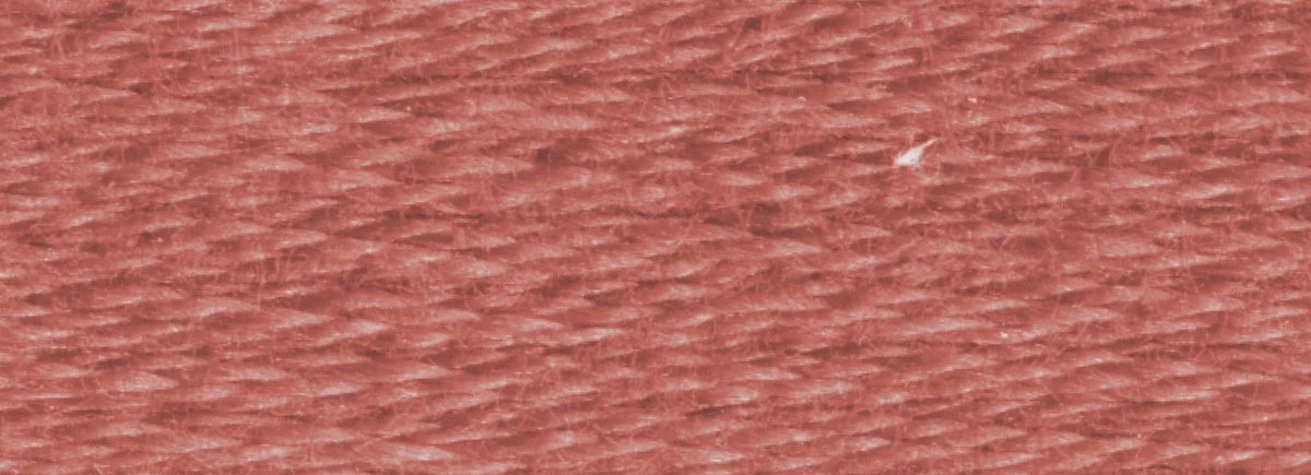 DMC 6-Strand Cotton Embroidery Floss 8.7yd - 356 Medium Terra Cotta - Image 2