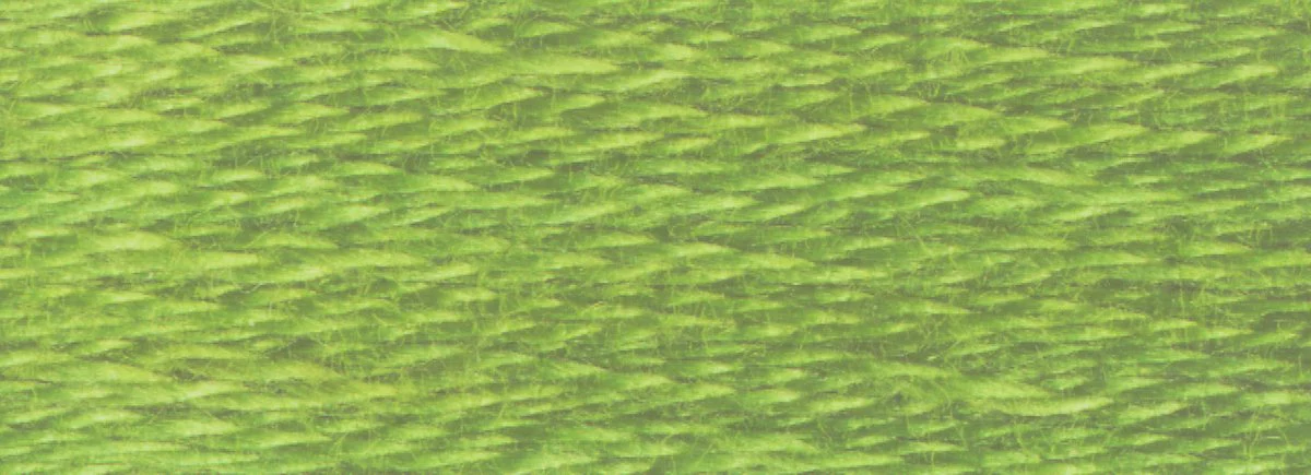 DMC 6-Strand Cotton Embroidery Floss 8.7yd - 3347 Medium Yellow Green - Image 2