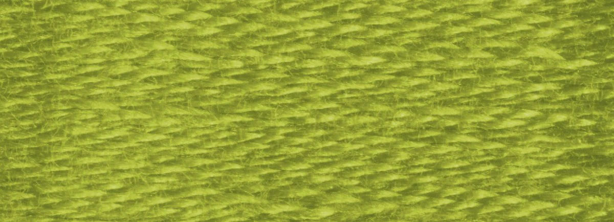 DMC 6-Strand Cotton Embroidery Floss 8.7yd - 581 Moss Green - Image 2