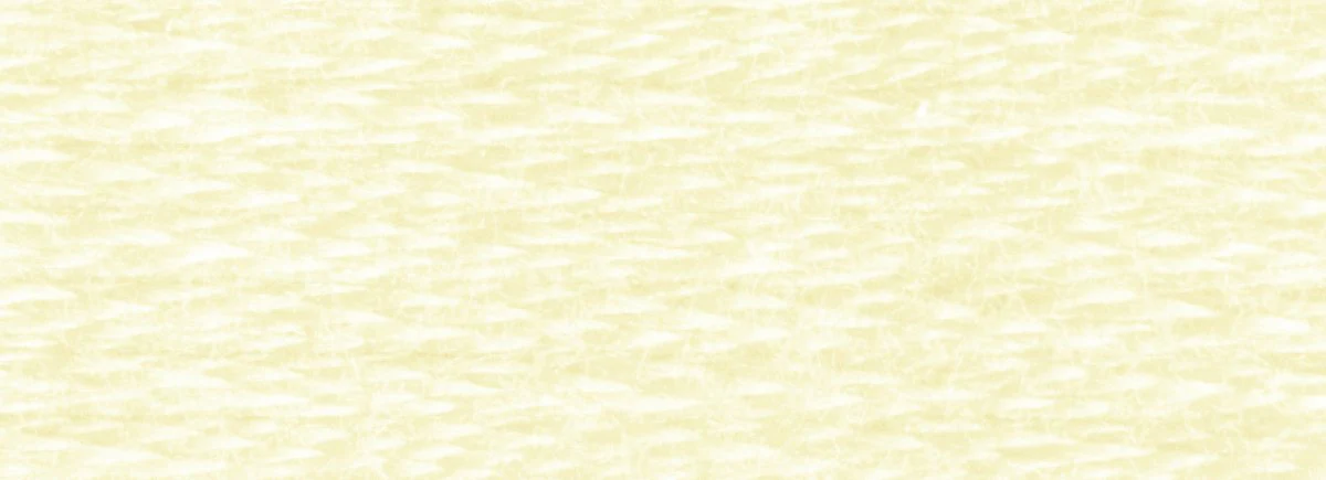 DMC 6-Strand Cotton Embroidery Floss 8.7yd - 746 Off White - Image 2