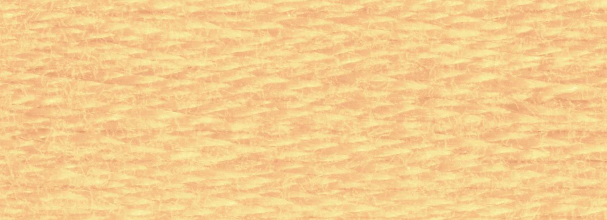 DMC 6-Strand Cotton Embroidery Floss 8.7yd - 3827 Pale Golden Brown - Image 2