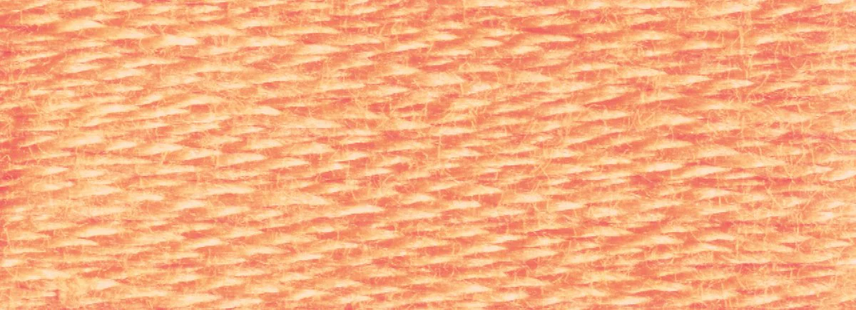 DMC 6-Strand Cotton Embroidery Floss 8.7yd - 3825 Pale Pumpkin - Image 2