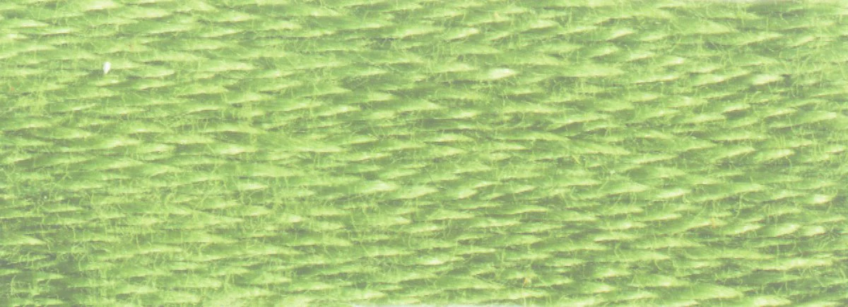 DMC 6-Strand Cotton Embroidery Floss 8.7yd - 3364 Pine Green - Image 2