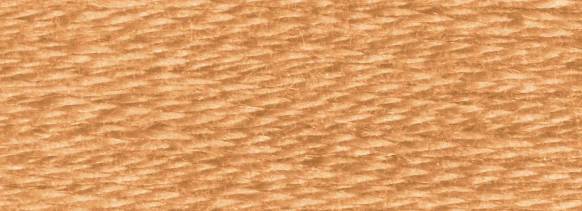 DMC 6-Strand Cotton Embroidery Floss 8.7yd - 436 Tan - Image 2