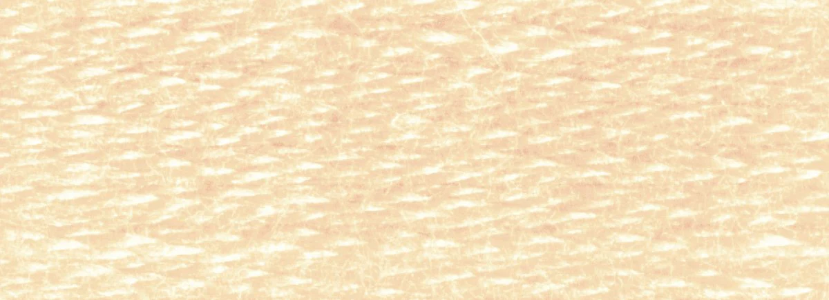 DMC 6-Strand Cotton Embroidery Floss 8.7yd - 945 Tawny