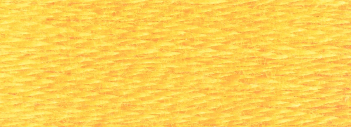 DMC 6-Strand Cotton Embroidery Floss 8.7yd - 725 Topaz - Image 2