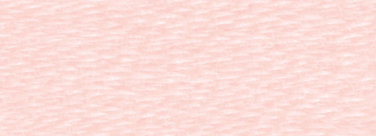 DMC 6-Strand Cotton Embroidery Floss 8.7yd - 225 Ultra Light Shell Pink - Image 2